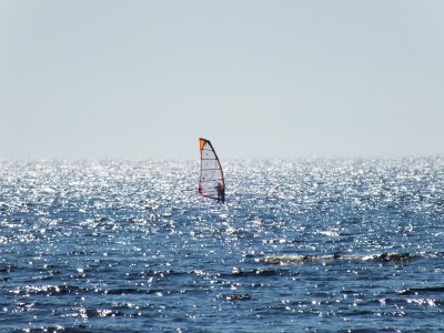 DSCF2250.jpg