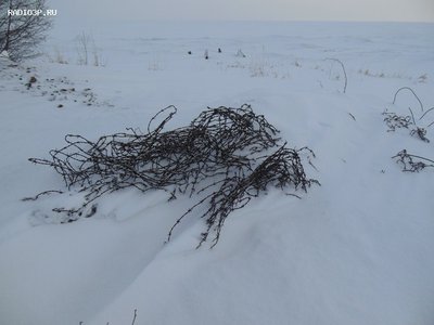 Мотки финсй колючей проволоки напоминают о войне 1941-1945 г.JPG