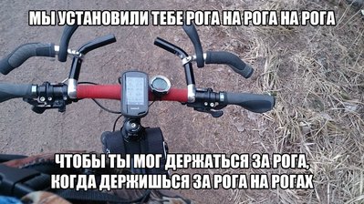 roga_na_roga.jpg
