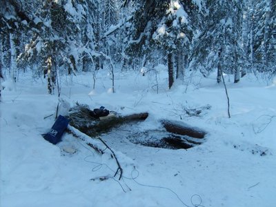 moroz2010_1.jpg