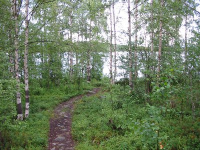 IMG_5290.jpg