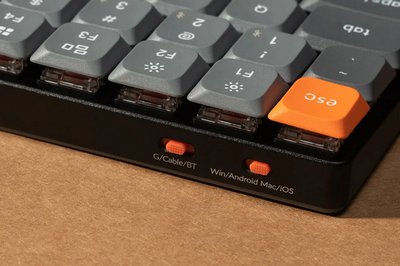 66175264.jpg